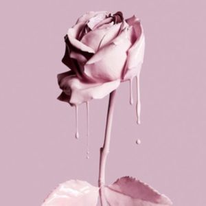 Meet your Posher, Josephine